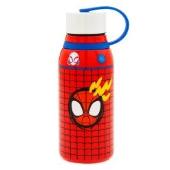 Disney Spidey And His Amazing Friends Stainless Steel Water Bottle