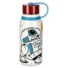 Disney R2-D2 Stainless Steel Water Bottle – Star Wars