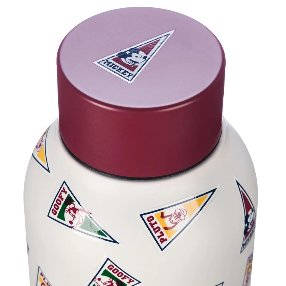 Disney Mickey Mouse And Friends Pennant Stainless Steel Water Bottle - Image 4